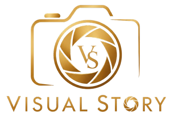 Visual Story